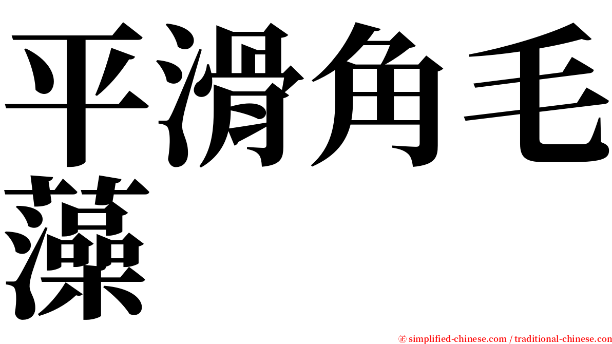 平滑角毛藻 serif font