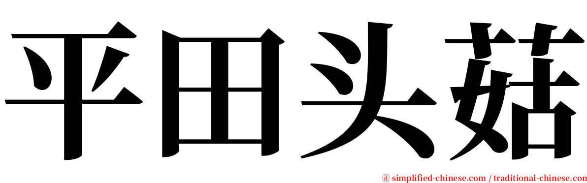 平田头菇 serif font