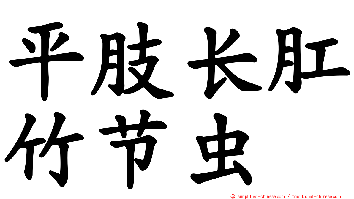 平肢长肛竹节虫