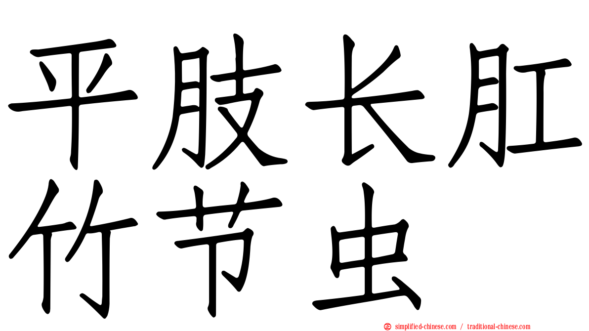 平肢长肛竹节虫