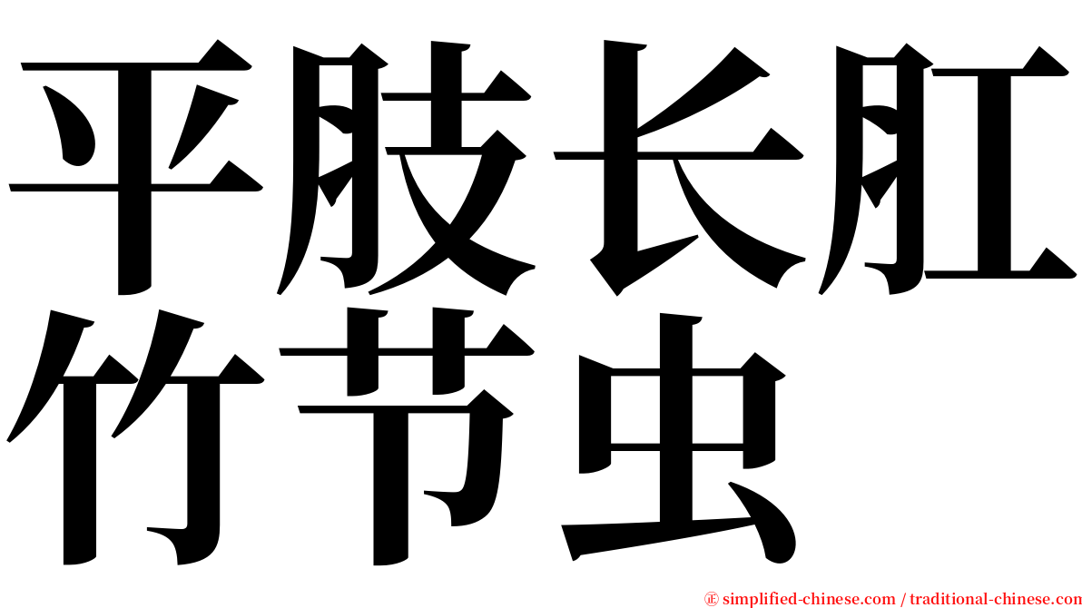 平肢长肛竹节虫 serif font