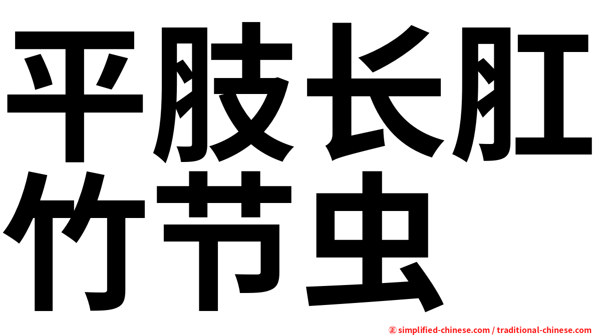 平肢长肛竹节虫