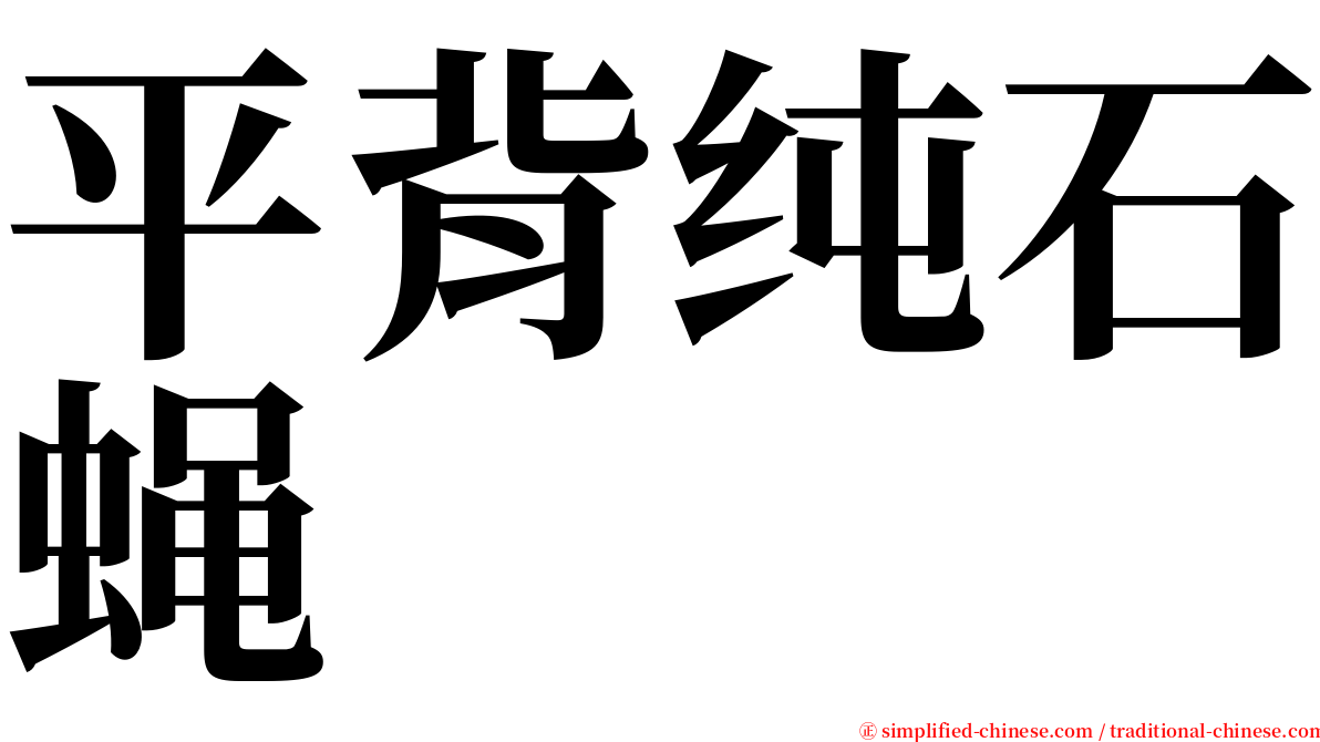 平背纯石蝇 serif font