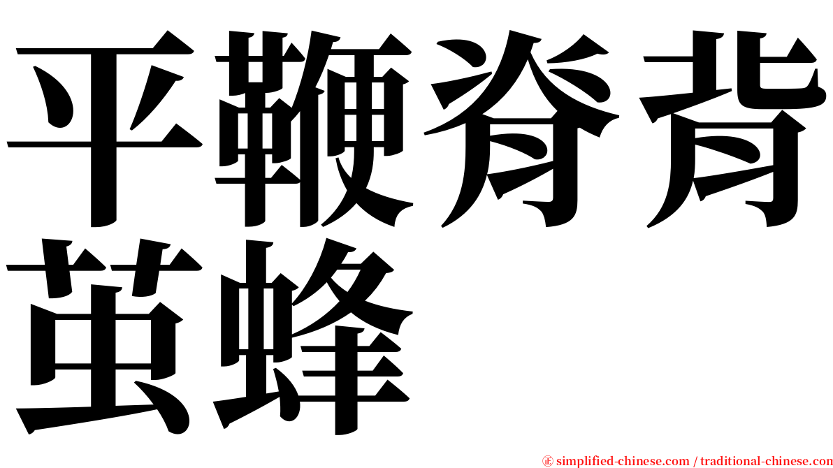 平鞭脊背茧蜂 serif font