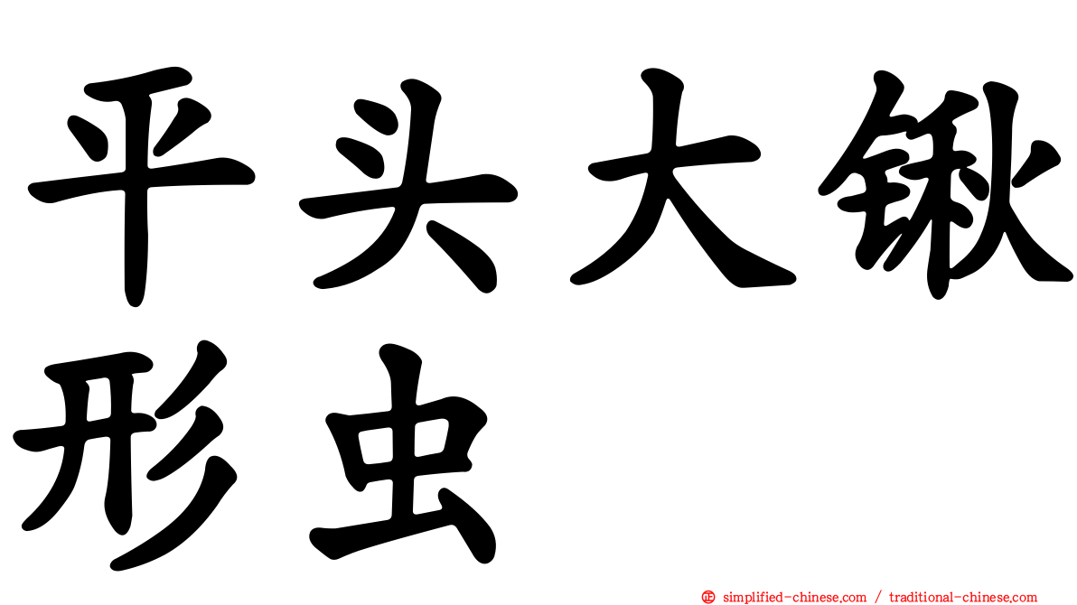 平头大锹形虫