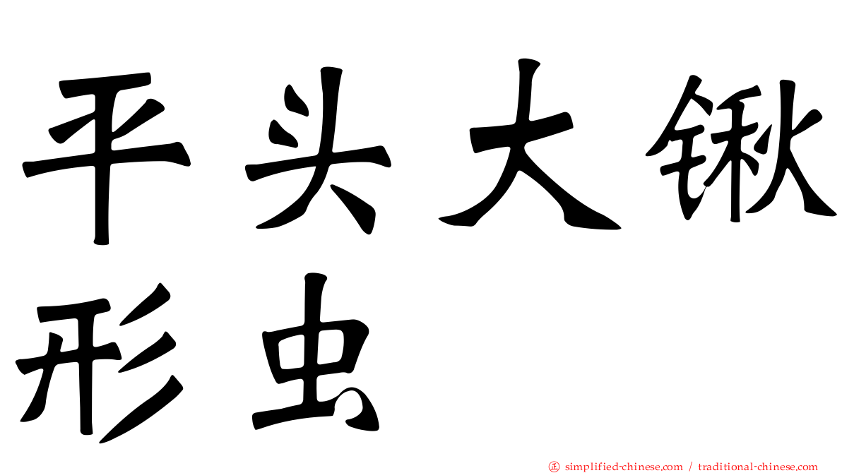 平头大锹形虫