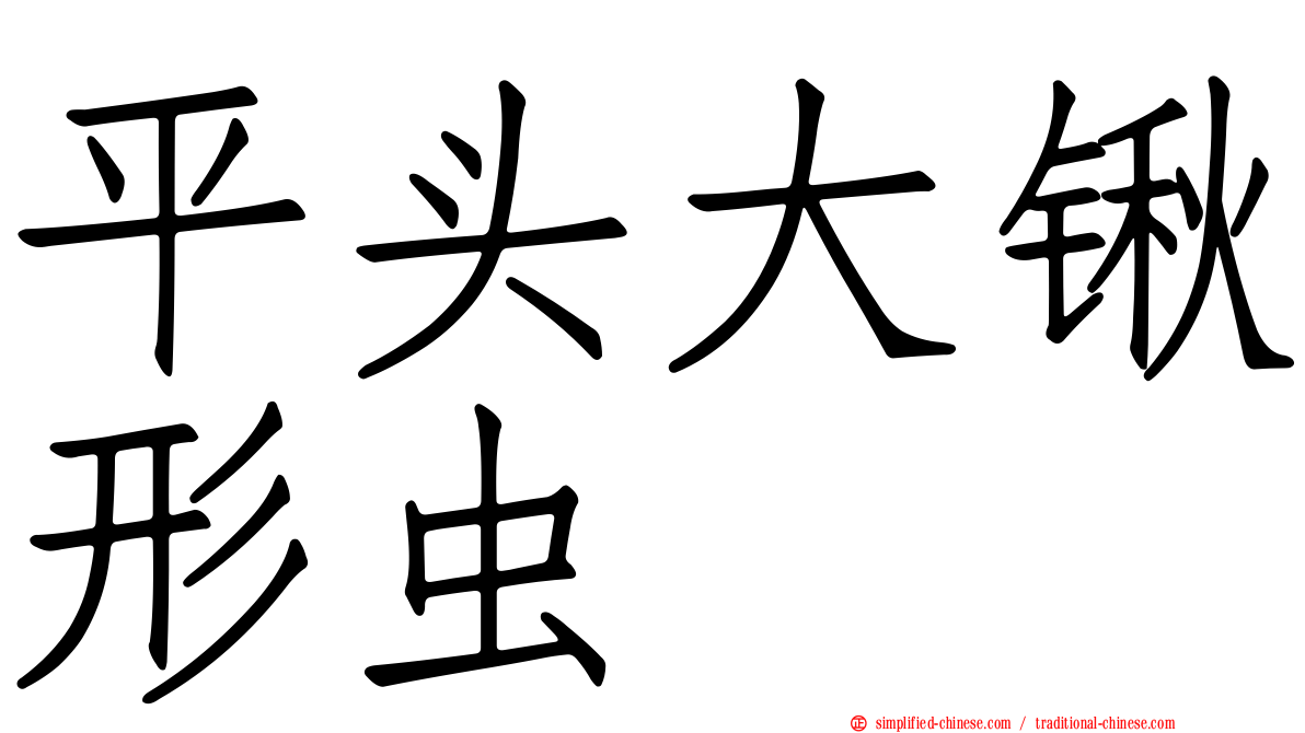 平头大锹形虫