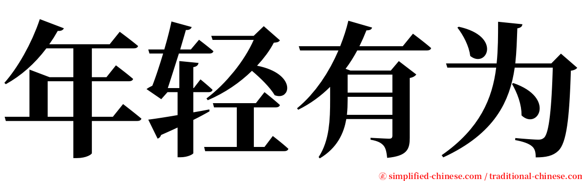 年轻有为 serif font