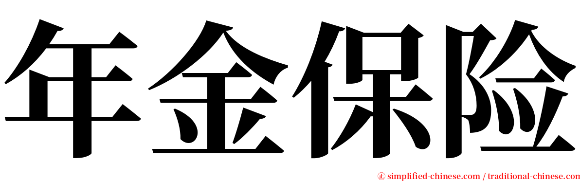 年金保险 serif font