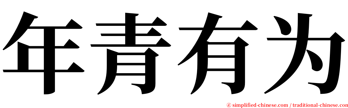 年青有为 serif font