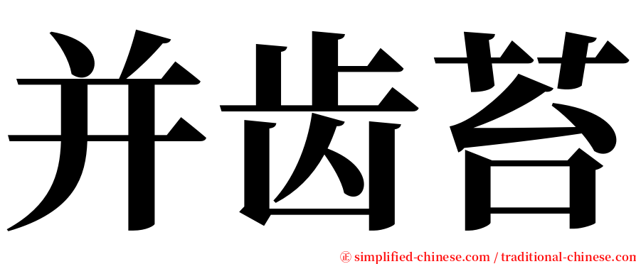 并齿苔 serif font