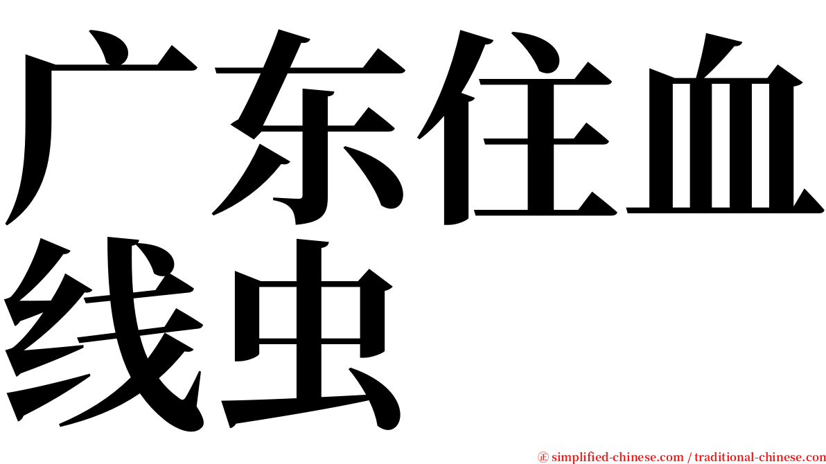 广东住血线虫 serif font