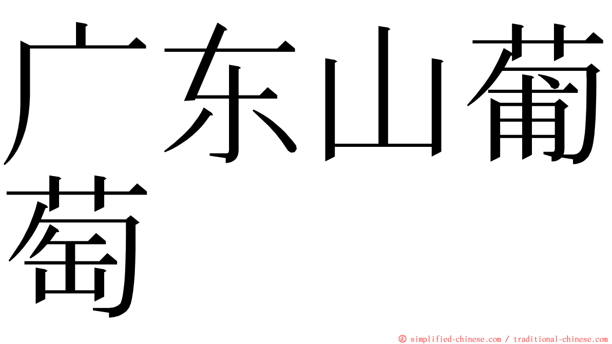 广东山葡萄 ming font