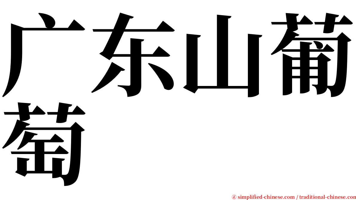 广东山葡萄 serif font