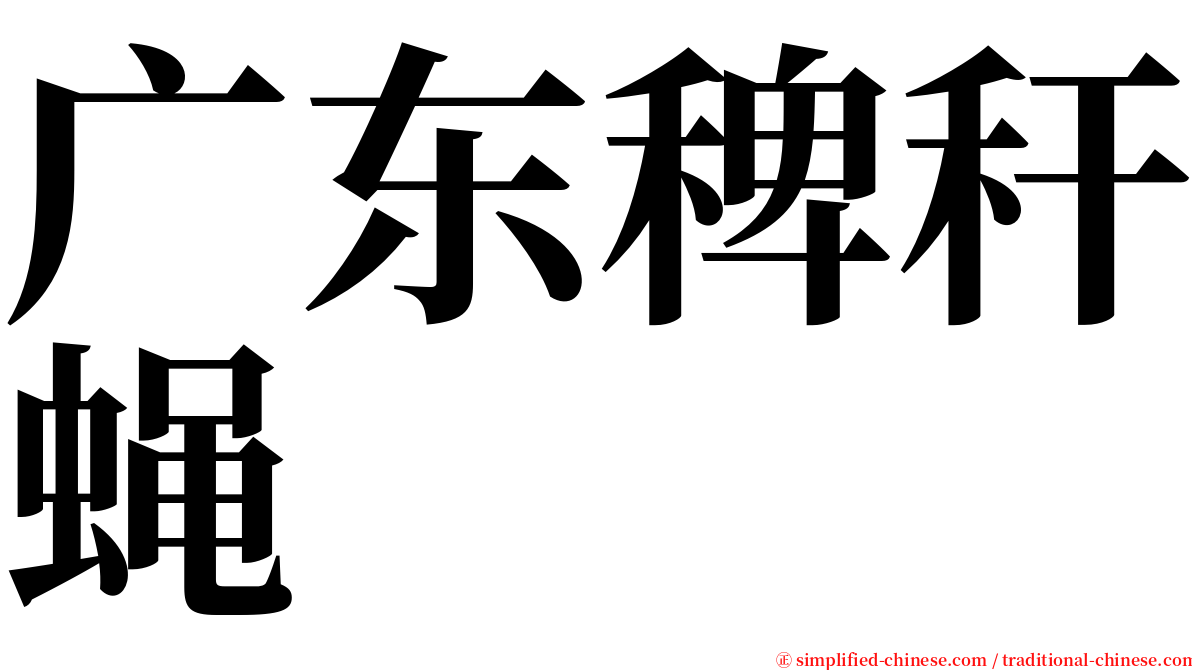 广东稗秆蝇 serif font