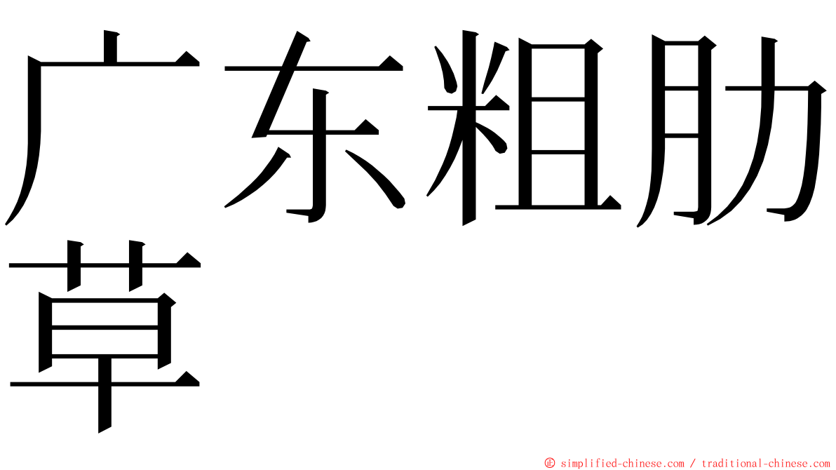 广东粗肋草 ming font