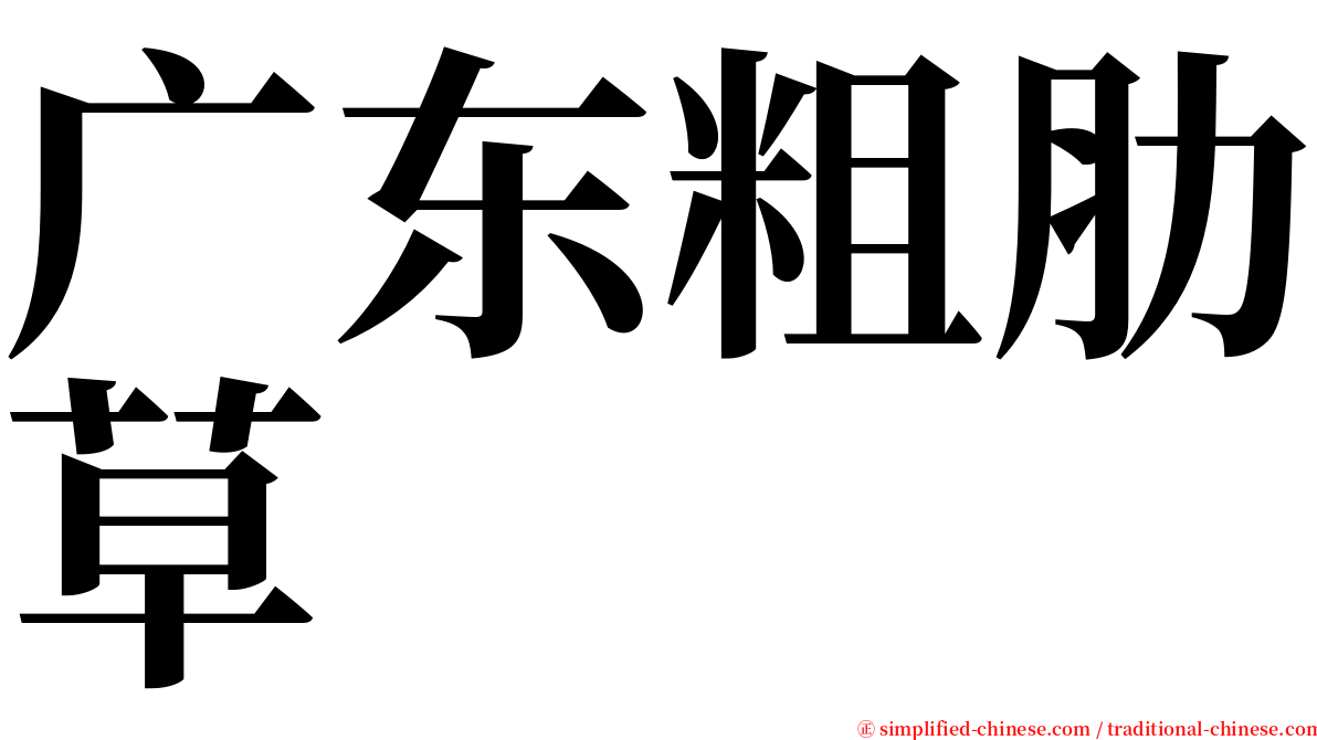 广东粗肋草 serif font