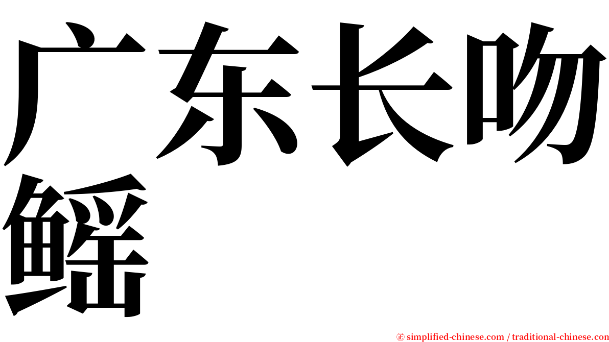 广东长吻鳐 serif font