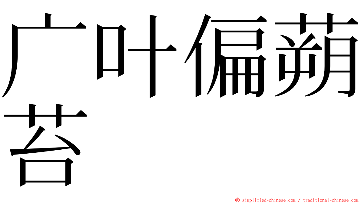 广叶偏蒴苔 ming font