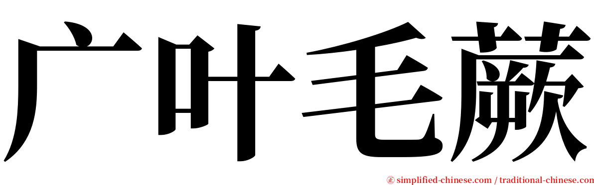 广叶毛蕨 serif font