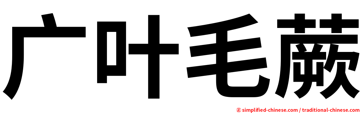 广叶毛蕨