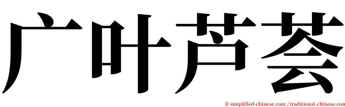 广叶芦荟 serif font