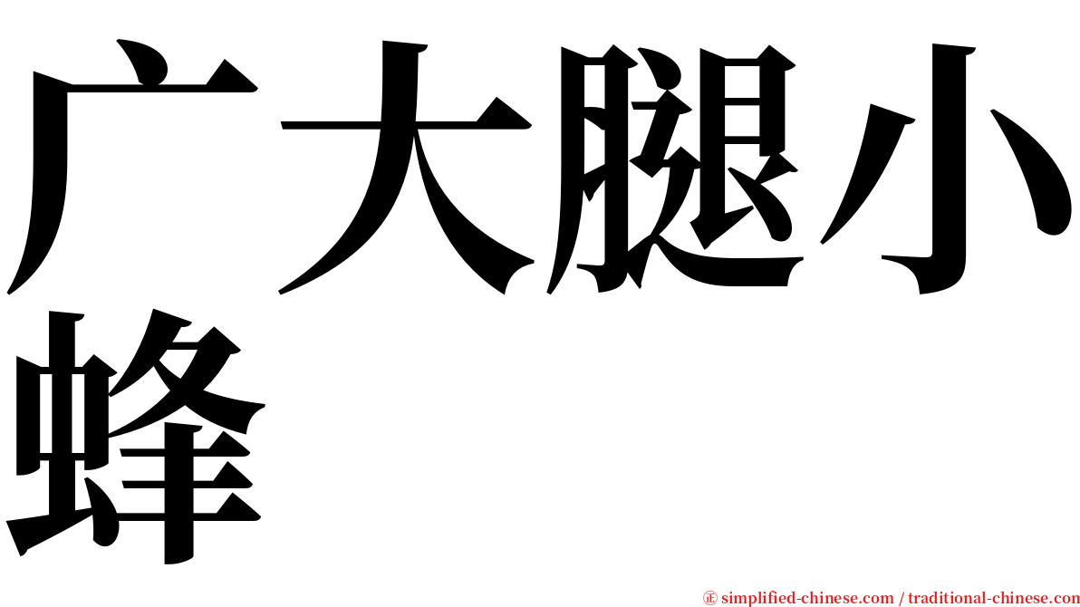 广大腿小蜂 serif font