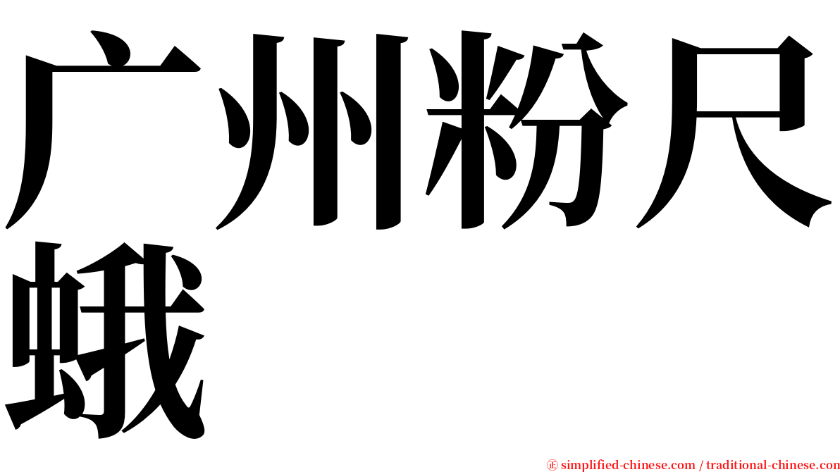 广州粉尺蛾 serif font