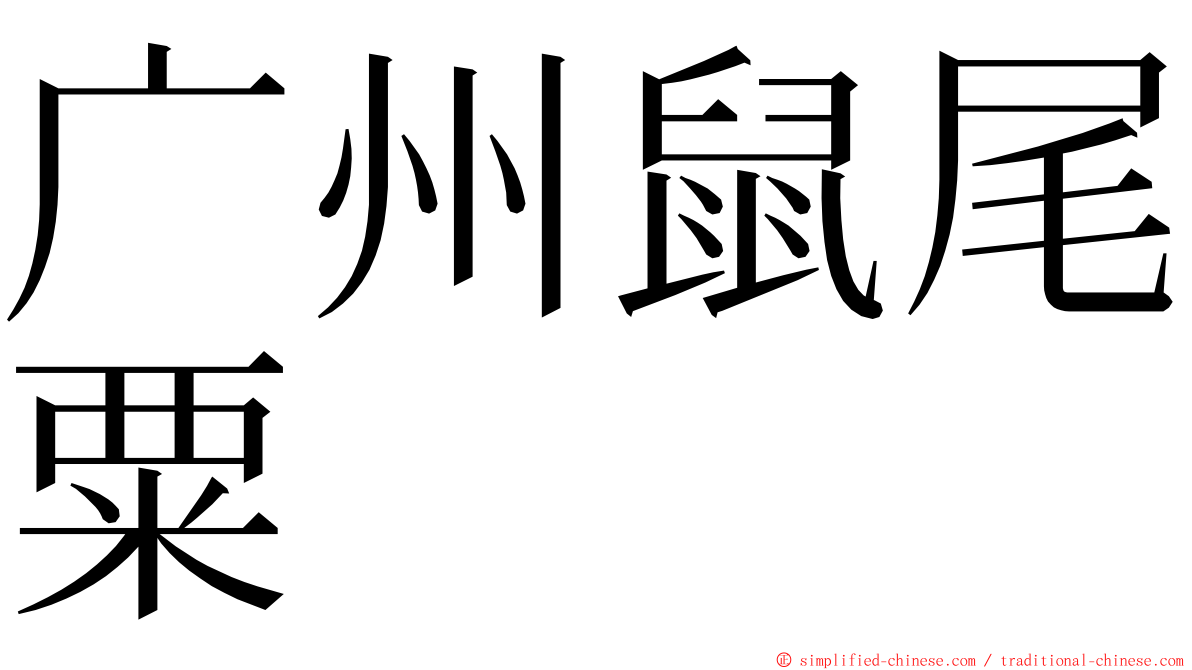 广州鼠尾粟 ming font