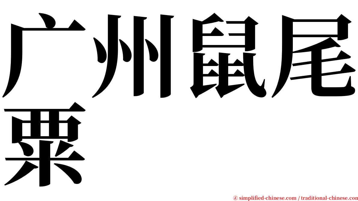 广州鼠尾粟 serif font