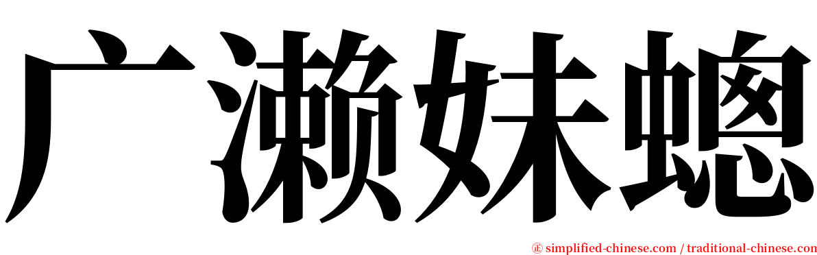 广濑妹蟌 serif font