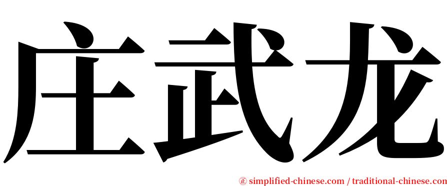 庄武龙 serif font