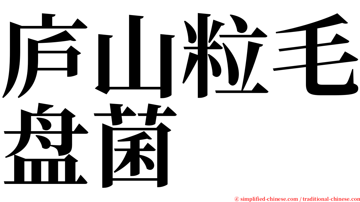 庐山粒毛盘菌 serif font