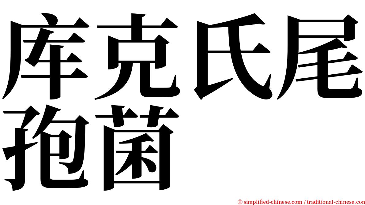 库克氏尾孢菌 serif font