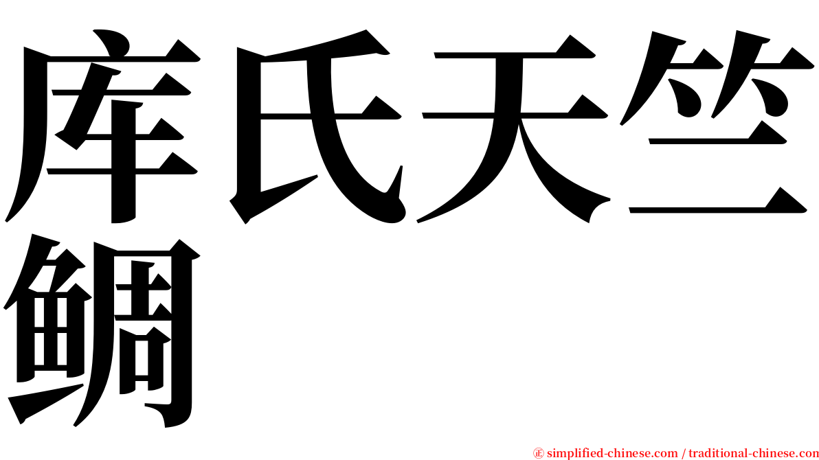 库氏天竺鲷 serif font