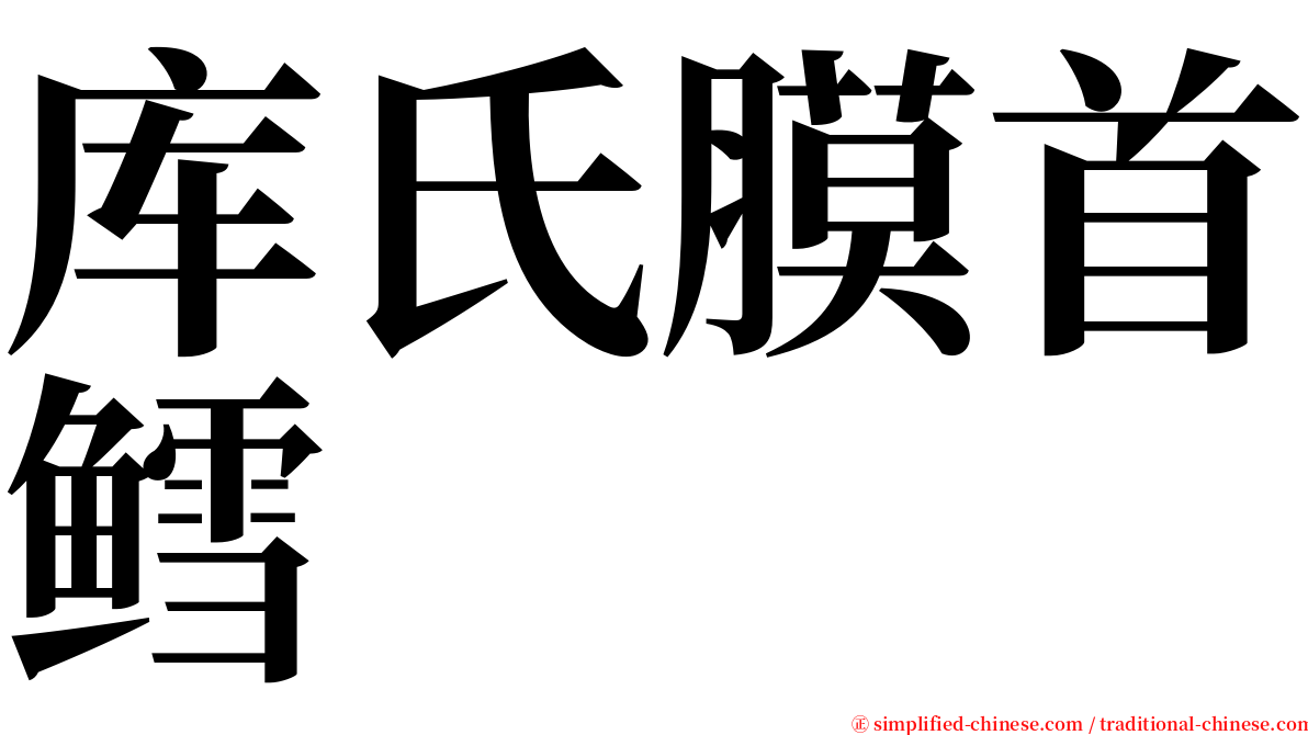 库氏膜首鳕 serif font