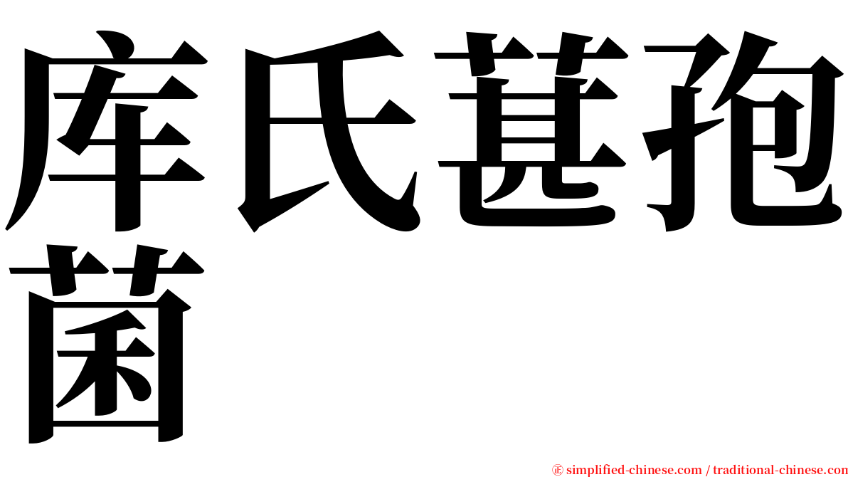 库氏葚孢菌 serif font