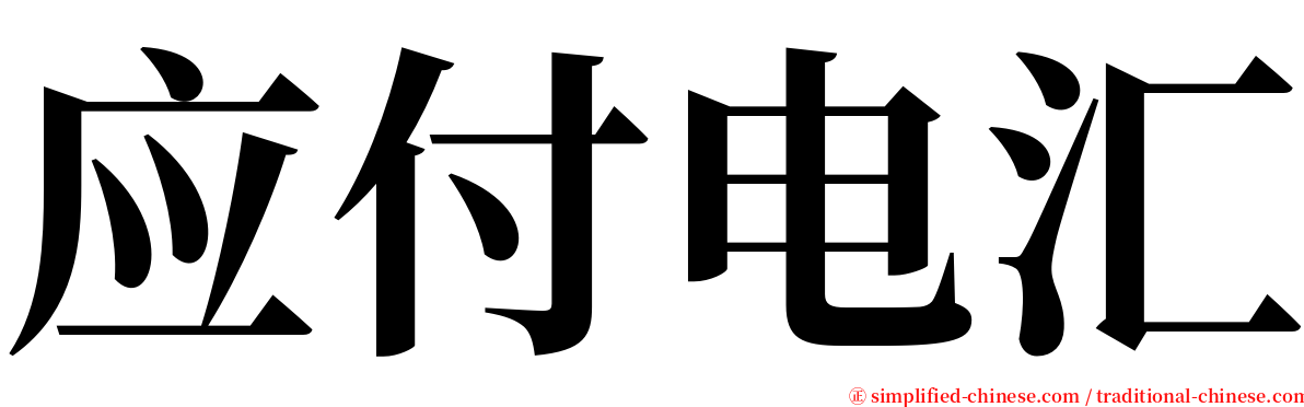 应付电汇 serif font