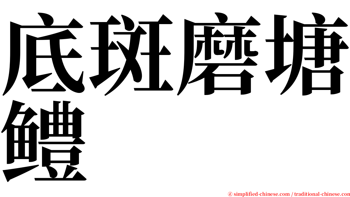 底斑磨塘鳢 serif font