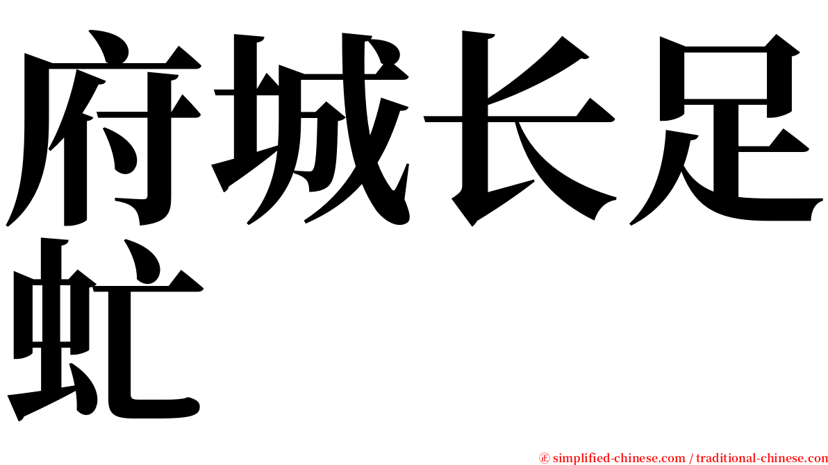 府城长足虻 serif font