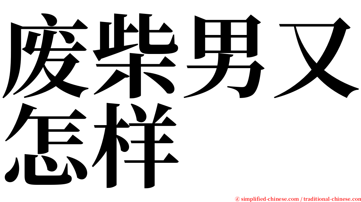 废柴男又怎样 serif font