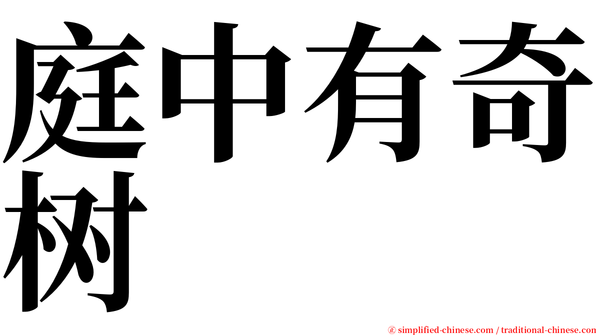 庭中有奇树 serif font