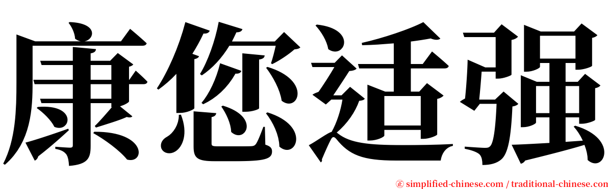 康您适强 serif font