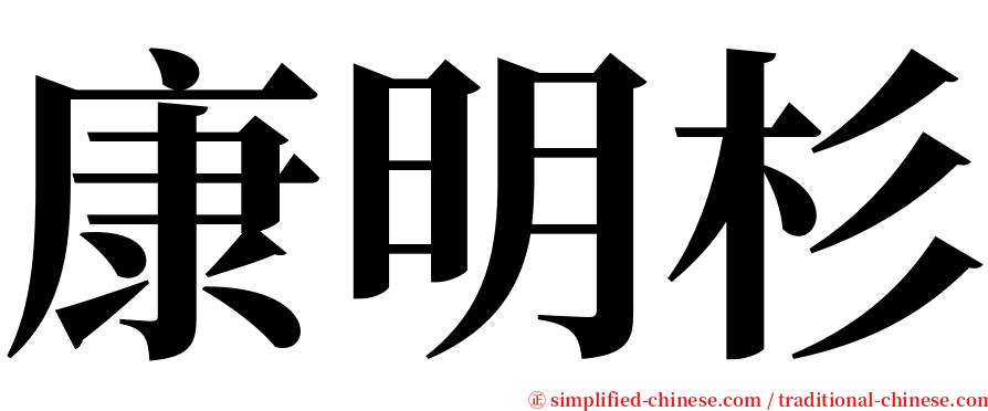 康明杉 serif font