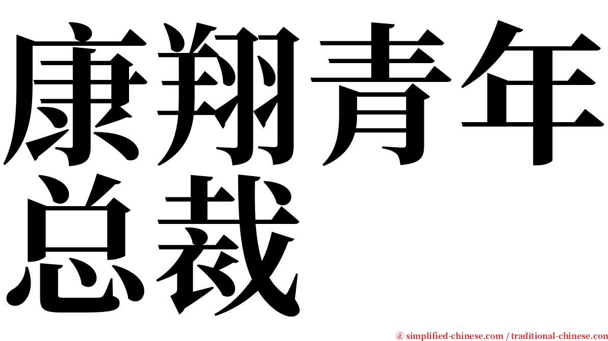 康翔青年总裁 serif font