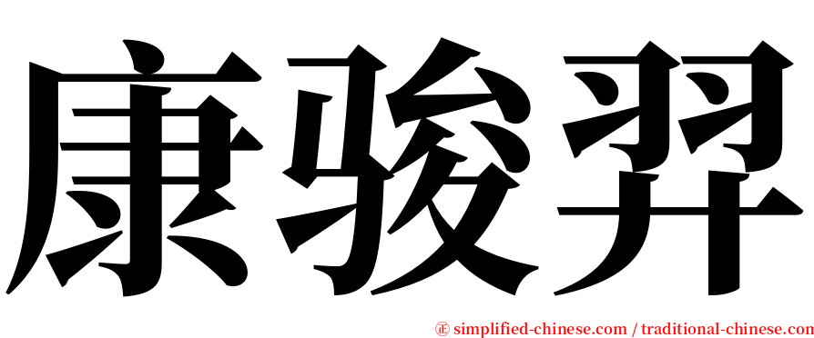 康骏羿 serif font