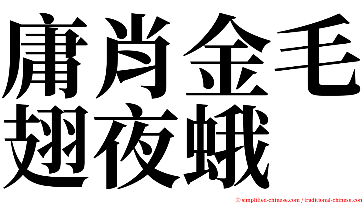 庸肖金毛翅夜蛾 serif font