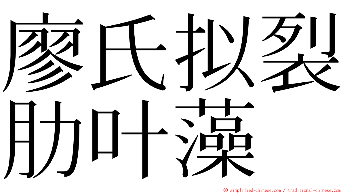 廖氏拟裂肋叶藻 ming font