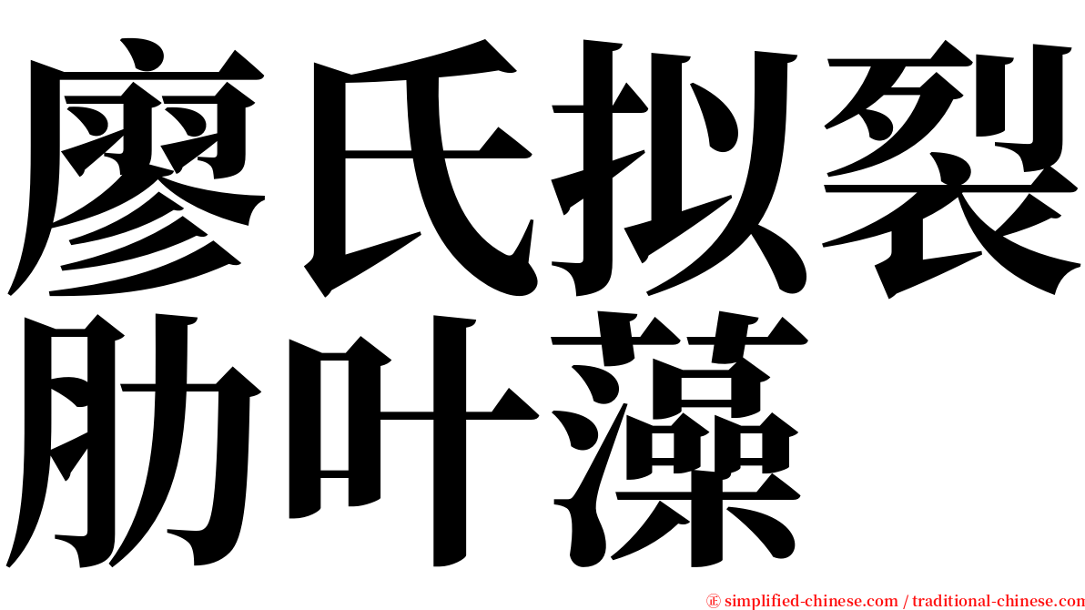 廖氏拟裂肋叶藻 serif font