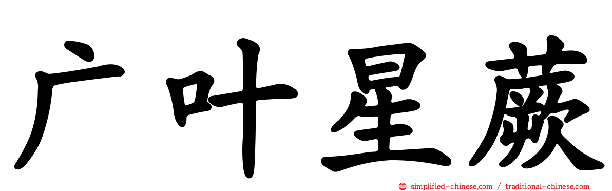 广叶星蕨